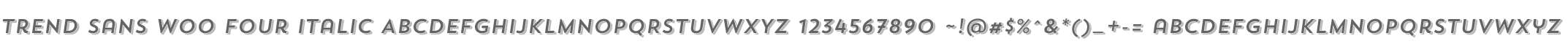 Trend Sans W00 Four Italic
