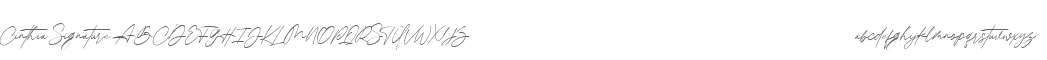 Cinthia Signature