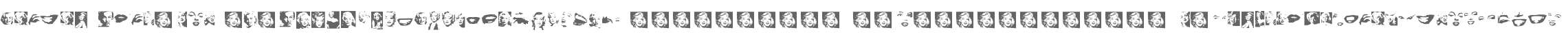 Monroe Dingbats