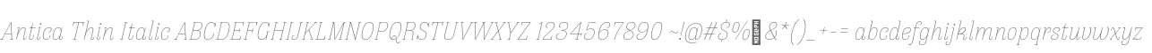 Antica Thin Italic