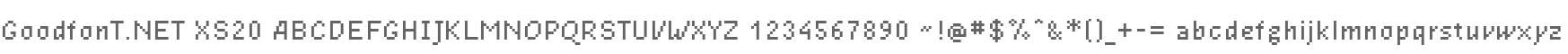 GoodfonT.NET XS20