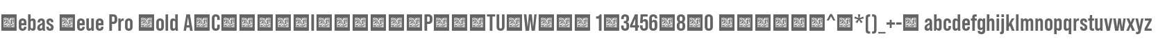 Bebas Neue Pro Bold