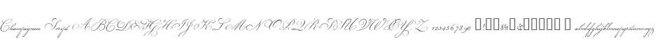 Champignon Script