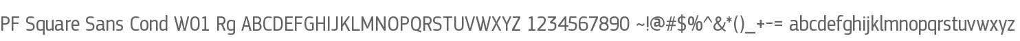 PF Square Sans Cond W01 Rg