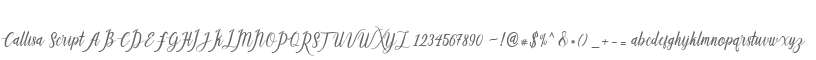 Callisa Script