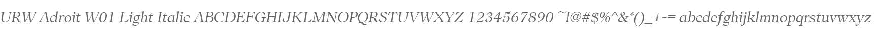 URW Adroit W01 Light Italic