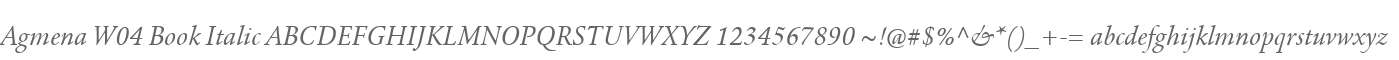 Agmena W04 Book Italic