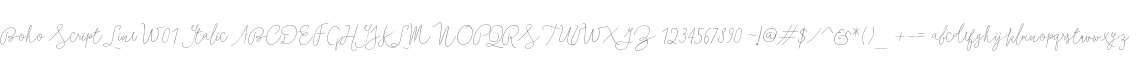 Boho Script Line W01 Italic