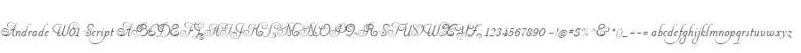 Andrade W01 Script