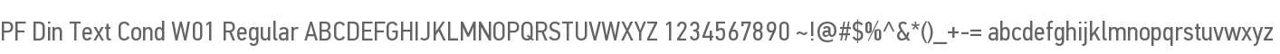 PF Din Text Cond W01 Regular