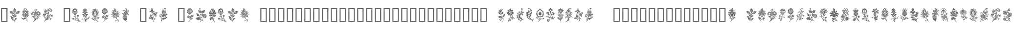 Fancy Flowers W90 Regular
