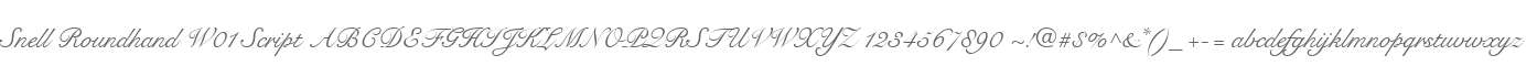 Snell Roundhand W01 Script
