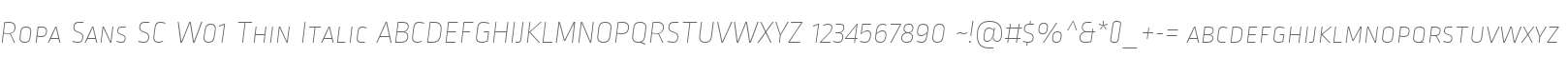 Ropa Sans SC W01 Thin Italic