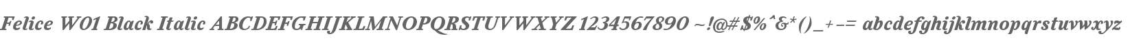 Felice W01 Black Italic