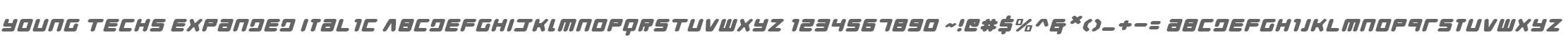 Young Techs Expanded Italic