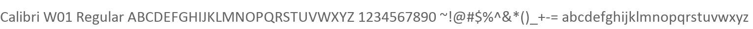 Calibri W01 Regular