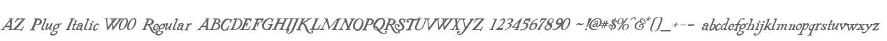 AZ Plug Italic W00 Regular