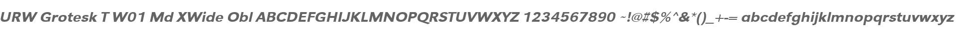 URW Grotesk T W01 Md XWide Obl