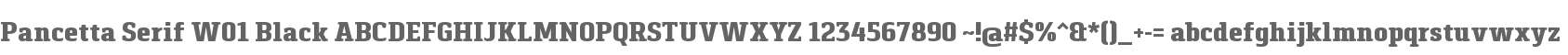 Pancetta Serif W01 Black