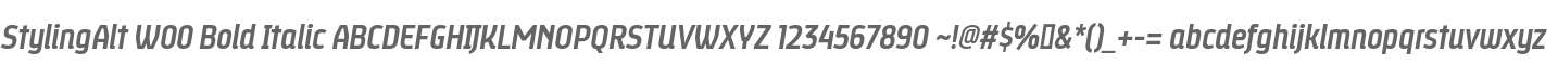 StylingAlt W00 Bold Italic