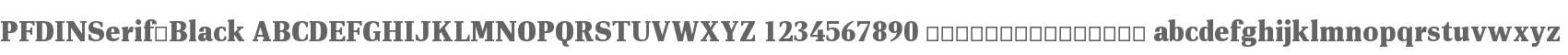 PF DIN Serif Black