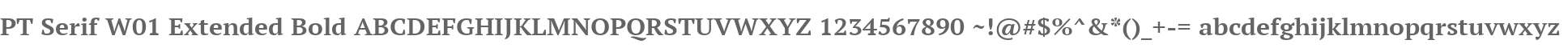 PT Serif W01 Extended Bold