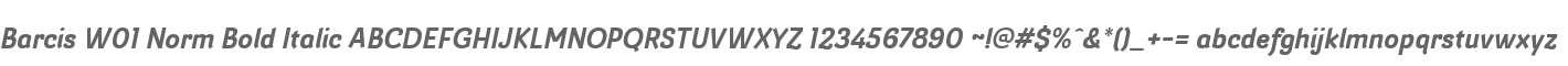 Barcis W01 Norm Bold Italic