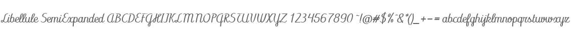 Libellule SemiExpanded