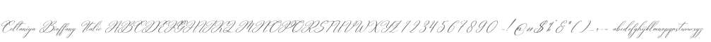 Celtaniya Bioffany Italic
