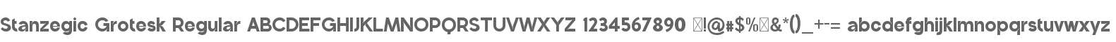 Stanzegic Grotesk