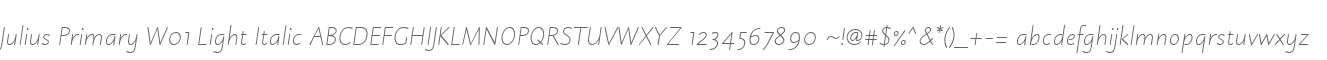 Julius Primary W01 Light Italic