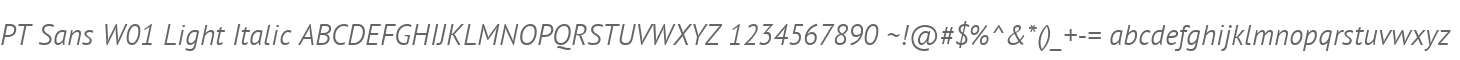PT Sans W01 Light Italic