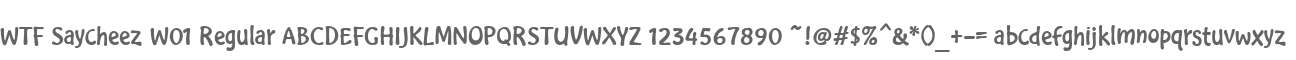 WTF Saycheez W01 Regular
