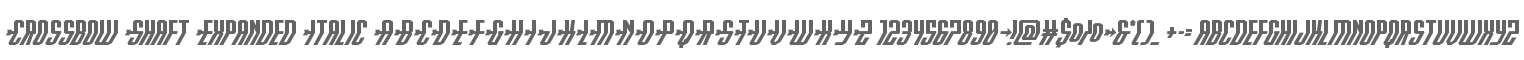 Crossbow Shaft Expanded Italic