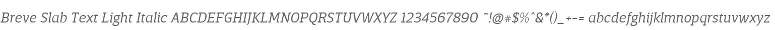 BreveSlabText-LightItalic