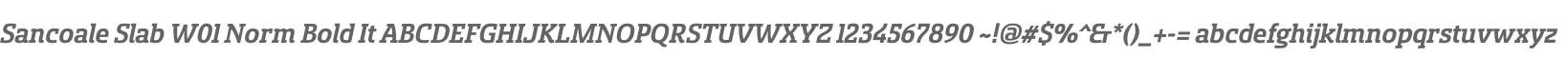 Sancoale Slab W01 Norm Bold It