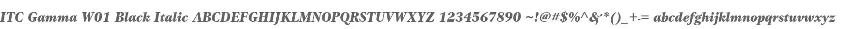 ITC Gamma W01 Black Italic