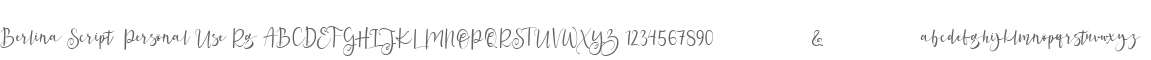 Berlina Script  Personal Use Rg