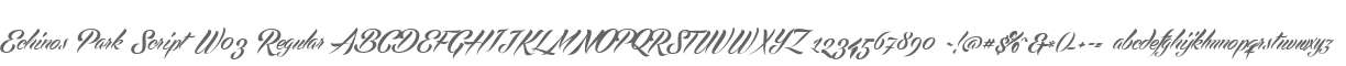 Echinos Park Script W03 Regular