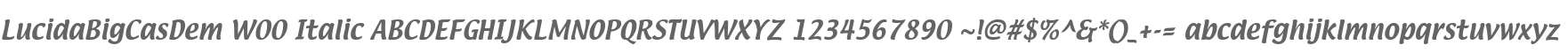 LucidaBigCasDem W00 Italic