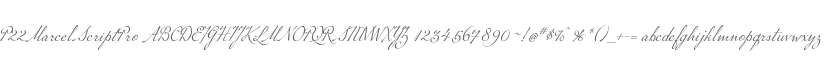 P22MarcelScriptPro