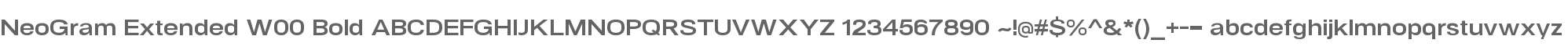 NeoGram Extended W00 Bold