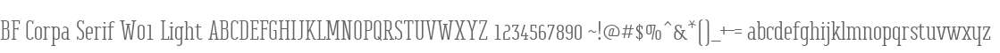 BF Corpa Serif W01 Light