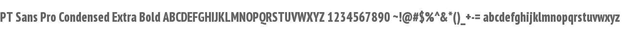 PT Sans Pro Condensed Extra Bold