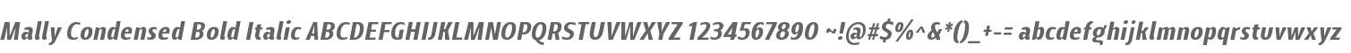Mally Condensed Bold Italic