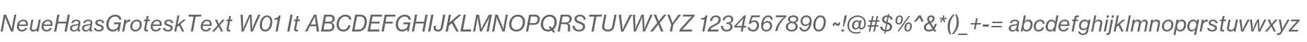 NeueHaasGroteskText W01 It