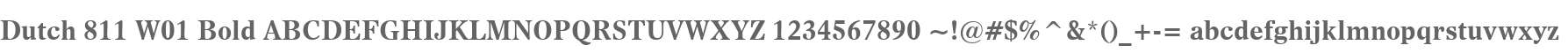 Dutch 811 W01 Bold