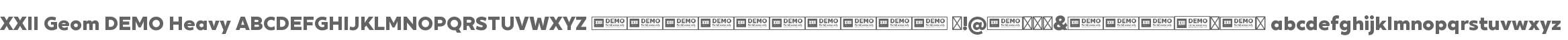XXII Geom DEMO Heavy