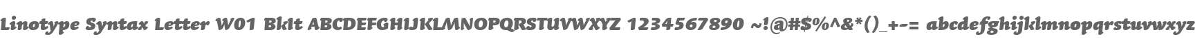 Linotype Syntax Letter W01 BkIt