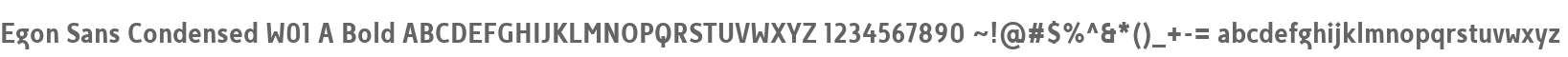 Egon Sans Condensed W01 A Bold